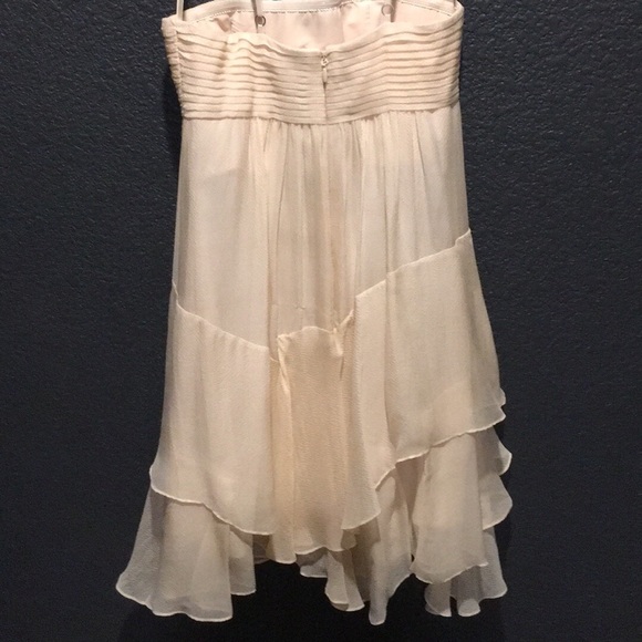 BCBG Max Azria Blush Jeweled Dress - Picture 4 of 5